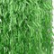 100 pcs 600 Ft Artificial Ivy Vines for Home, Party & Wedding Decor